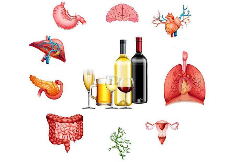 die Wirkung von Alkohol auf den Körper